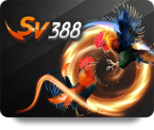 Join the Community of Players at 789Bet Casino Live